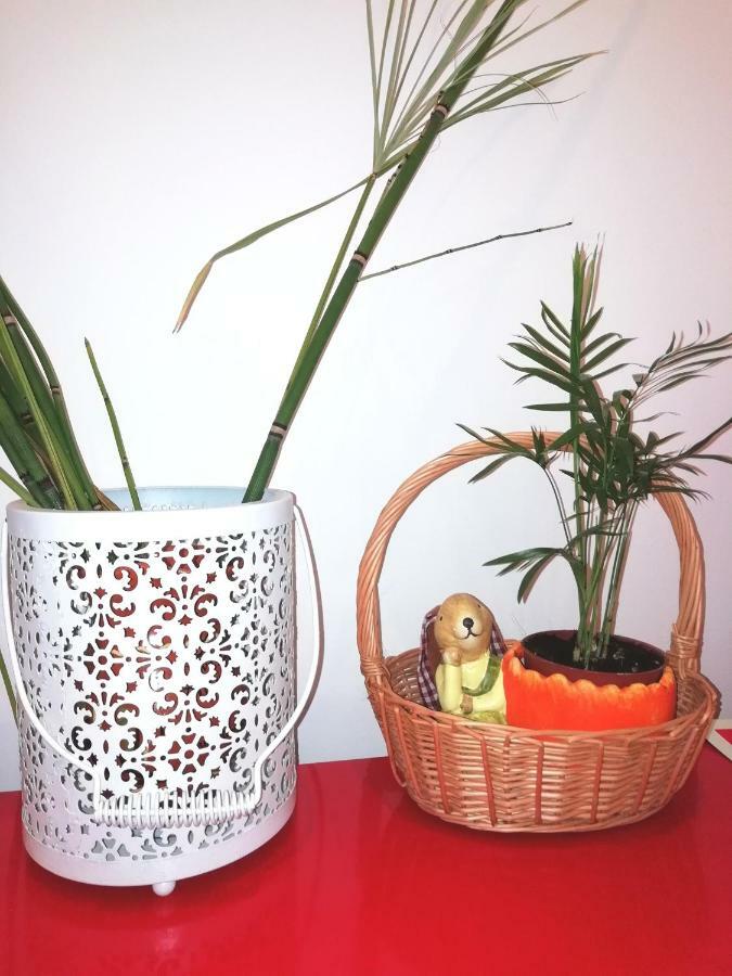 Apartament'S Veiga Areeiro Lisboa 外观 照片